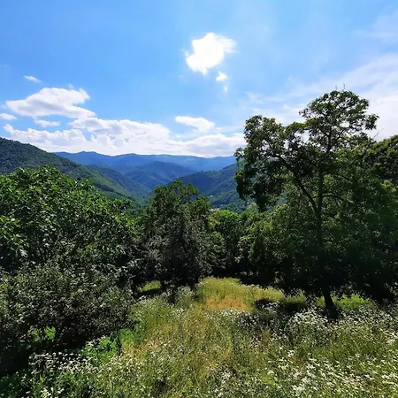 La Nel Bosco Lägenhet Brossasco