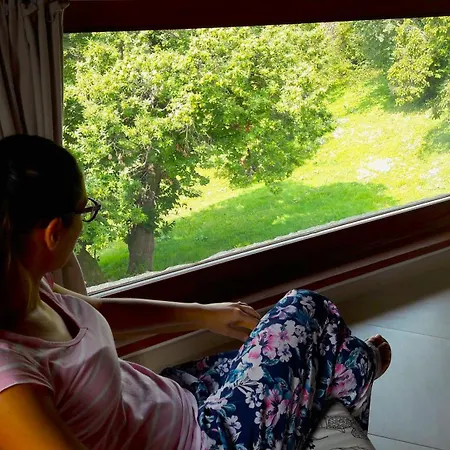 La Nel Bosco Daire *