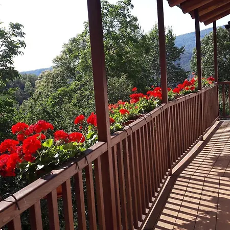 La Nel Bosco Brossasco